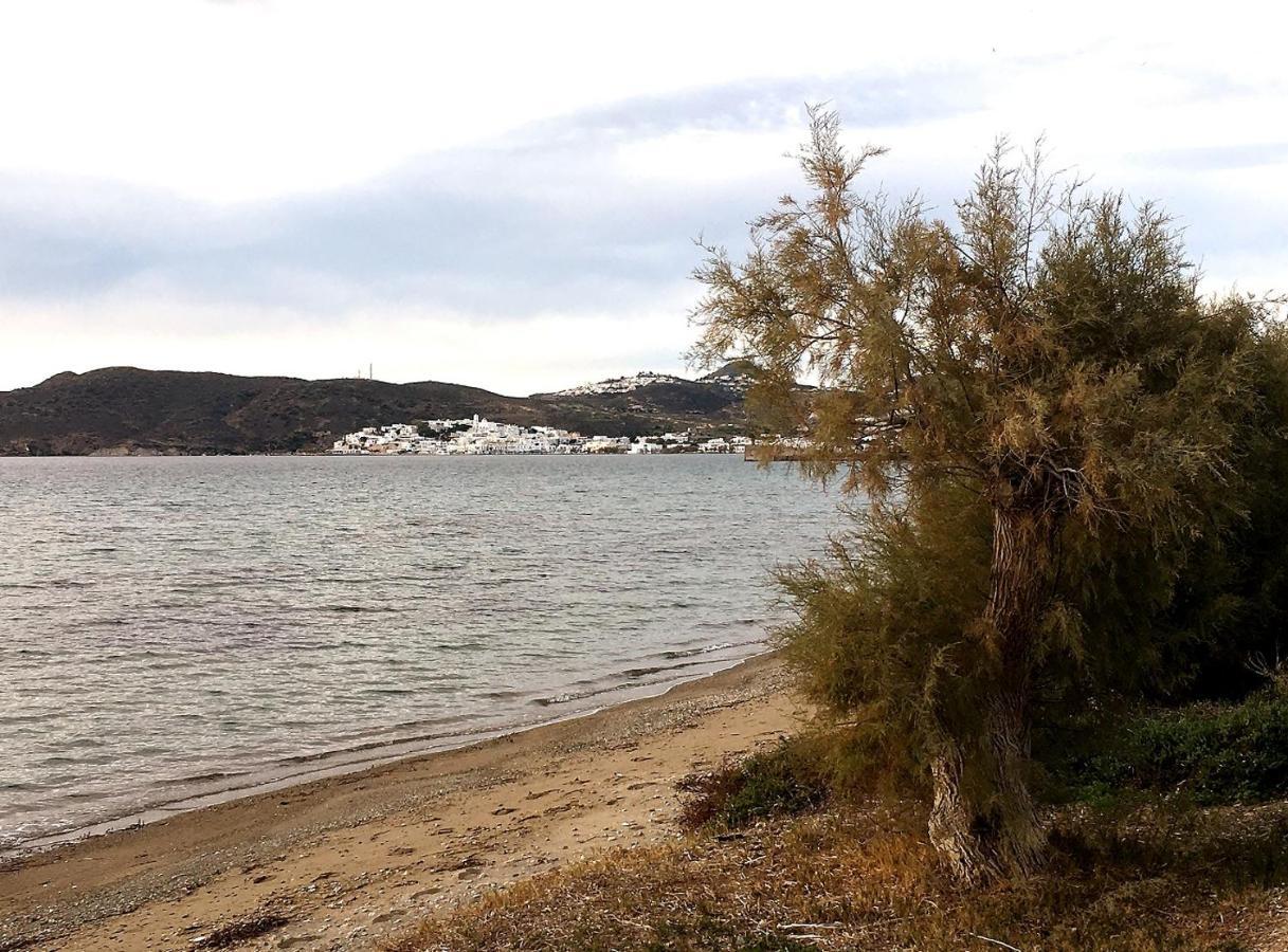 Kourita Garden Apartment With Sea View Near To The Port Of Milos 阿达玛斯 外观 照片